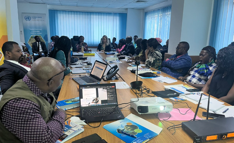 Formation du M&eacute;canisme National de Dialogue et d'Echanges du Gabon - 12-13 avril 2023