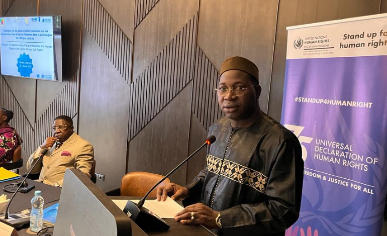 Le CNUDHD-AC promeut les Plans d'action nationaux relatifs aux droits de l'homme et entreprises